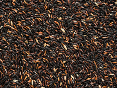 Beras Hitam Premium